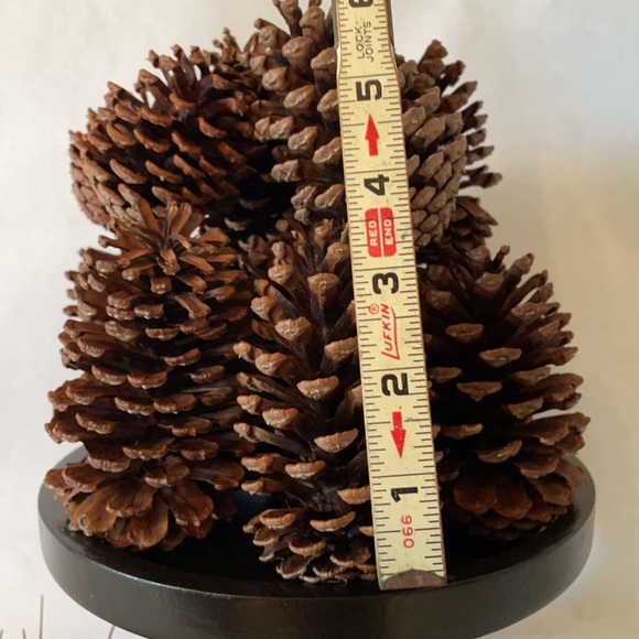 ❗5 For $2️⃣5️⃣ Bundle Sale❗️ Natural Source Pine Cones ~ Bag of 12 for Crafting - Picture 7 of 9